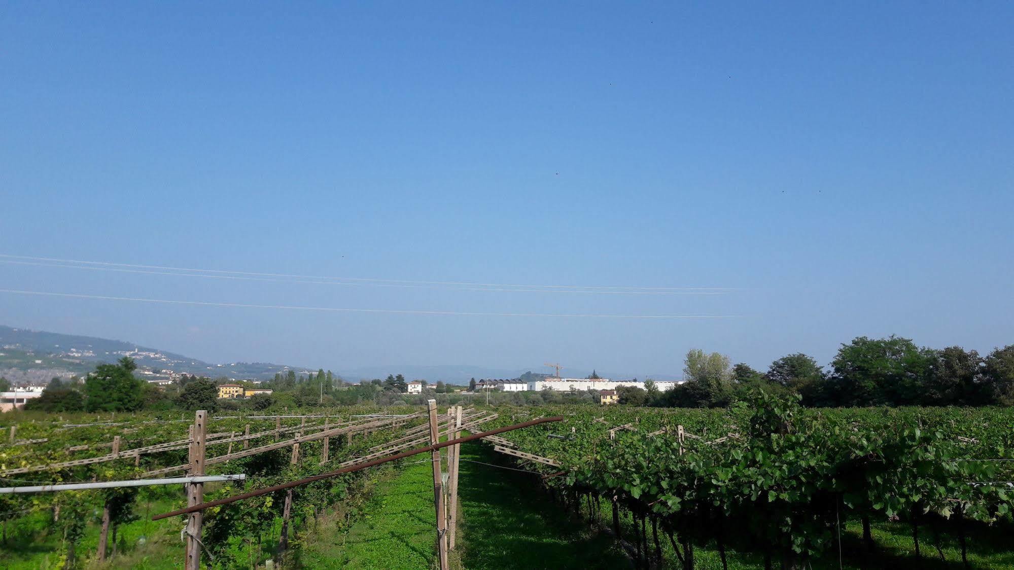 Agriturismo Camparella Pastrengo Exterior foto